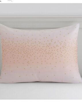 Set 2 Pottery Barn Monique Lhuillier Metallic Stardust Pillow Shams